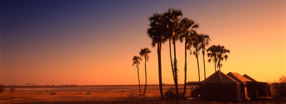Soak in the beauty of an African Bush sunset at Jack's Camp 