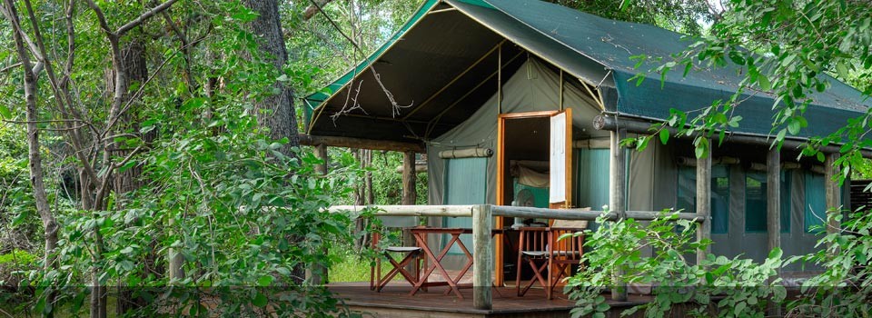 The Exterior view of the luxury tents at Camp Moremi