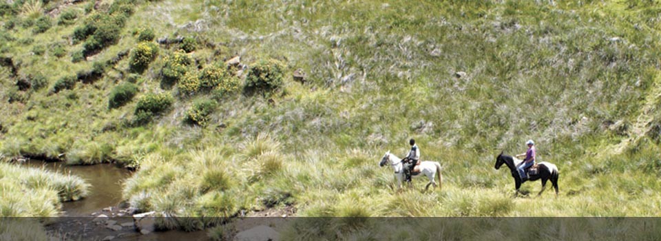 Explore the Drakensburg on Horse back 