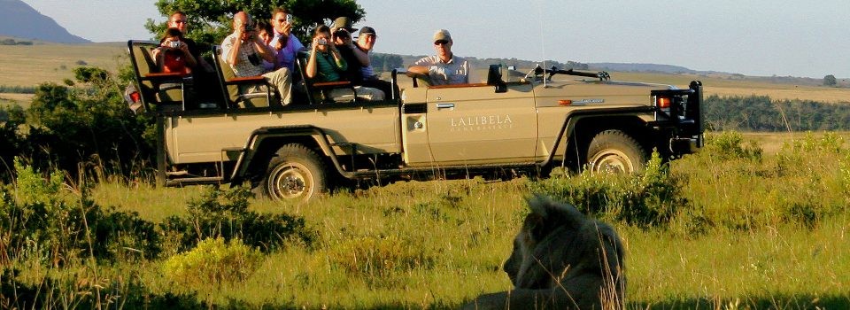 Game Drive at Lalibela Mark's Camp