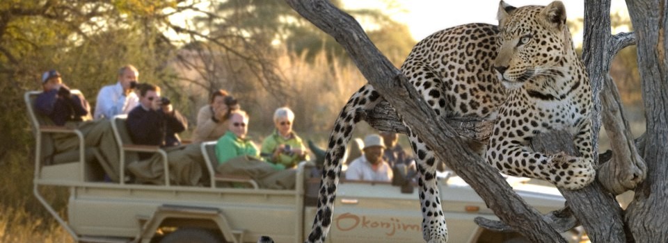 Game Drive