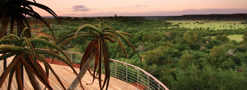 Views from Shamwar Sarili Lodge