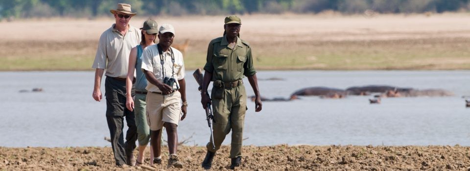 Walking safari at Zebra Plains