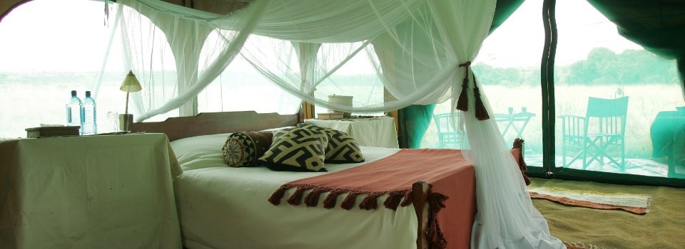Zebra Plains Tented Rooms