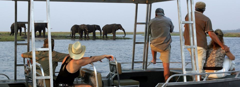 Game viewing from the deck of the luxurious Zambezi Queen in Botswana.