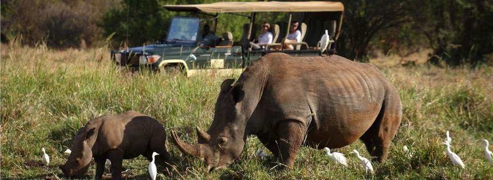 Game drives at Elsa's Kopje, Meru