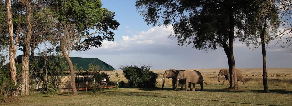 Exterior views of Governors' Camp in the Masai Mara, Kenya