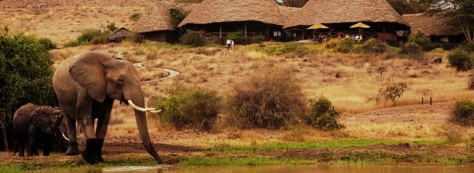 Exterior views of Tortilis Camp in the Amboseli Region of Kenya