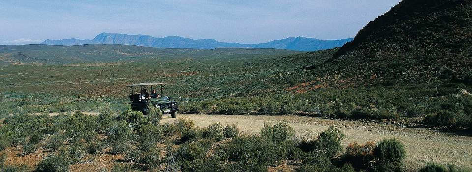 Game drive at Sanbona.