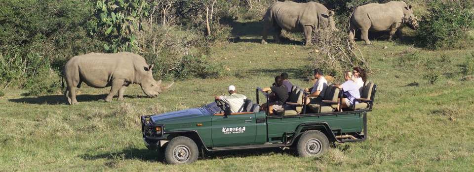 Game drive at Kariega Main Lodge.