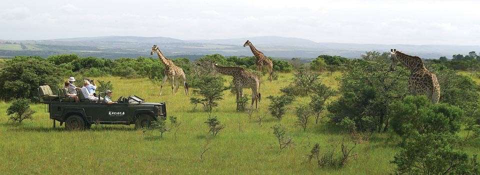 Wildlife sighting at Ukhozi Lodge.
