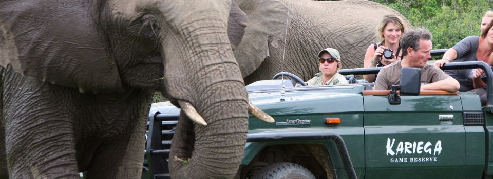 Game viewing at The Homestead at Kariega.