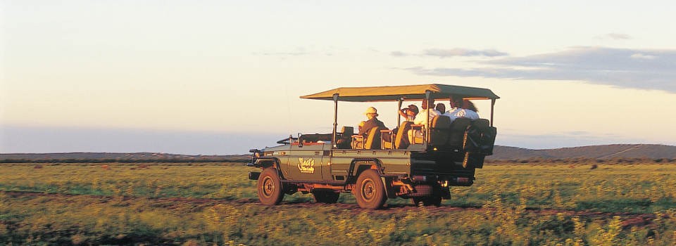 Game Drive at Jaci's Safari Lodges