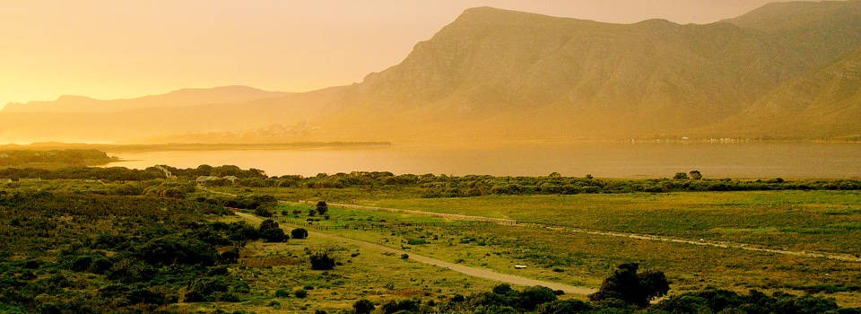 Mosaic Farm set in the Overberg region of South Africa