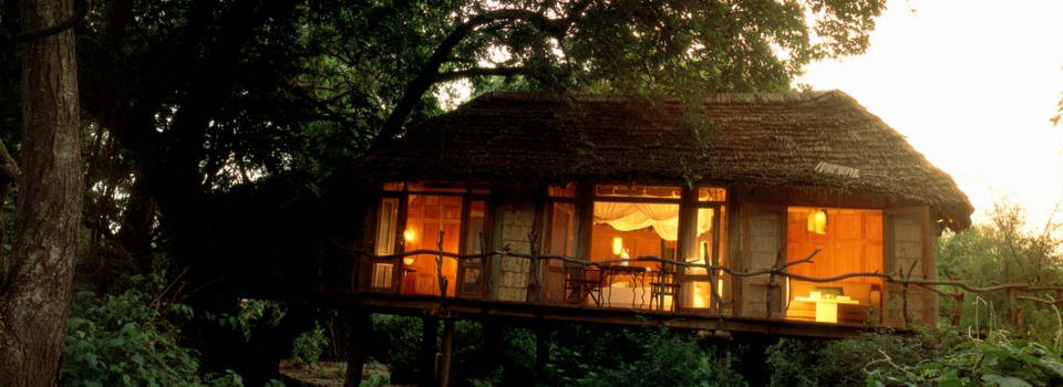 Tree House exterior at Lake Manyara Tree Lodge in Tanzania