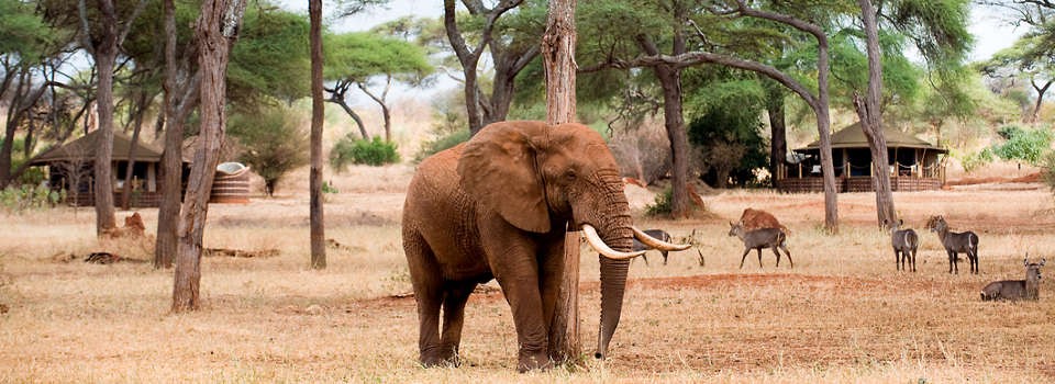 Exerior views of Sanctuaty Swala in the Tarangire National Park, Tanzania