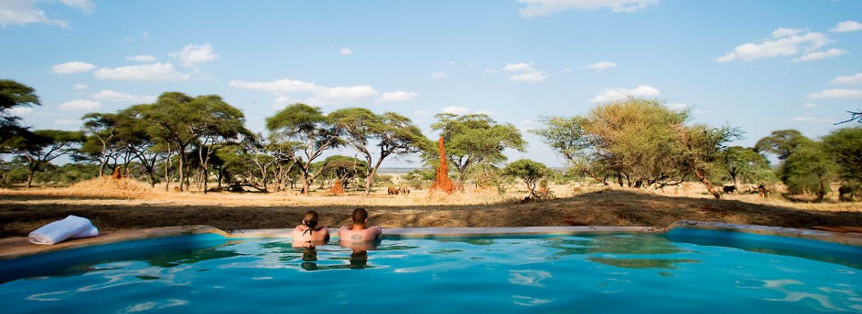 Swimming pool at Sanctuary Swala, Tanzania