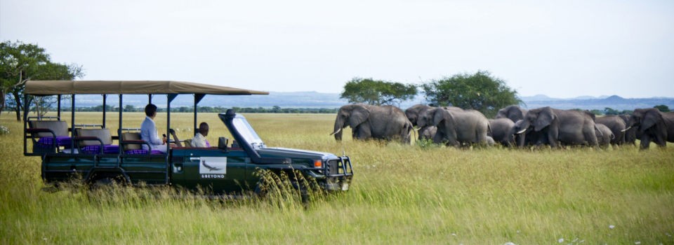 Grumeti Serengeti Tented Camp Game Drive