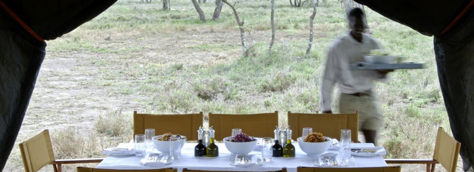 Dining at Serengeti Under Canvas in Tanzania