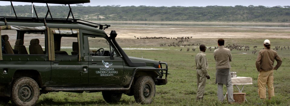 Game drive at Serengeti Under Canvas