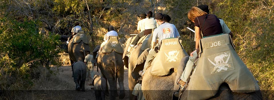 Camp Jabulani is famous for is extraordinary elephant experiences