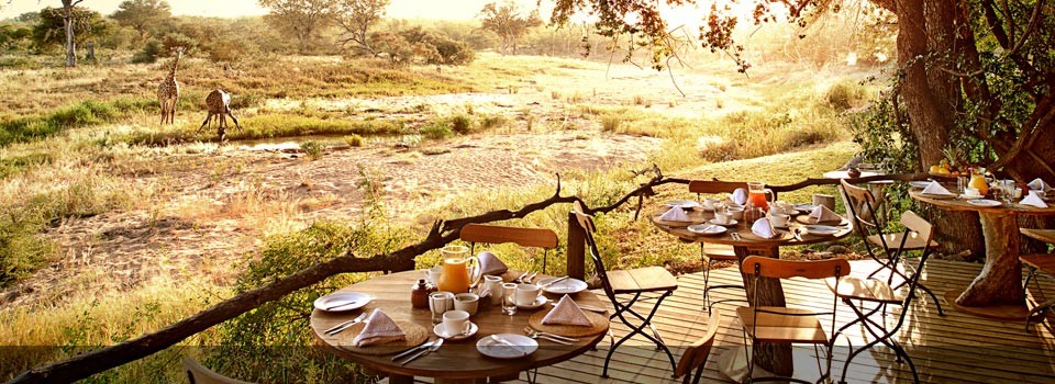 The deck at Motswari Private Game Reserve