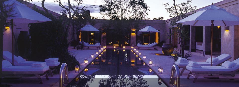 the luxury pool at Royal Malewane 
