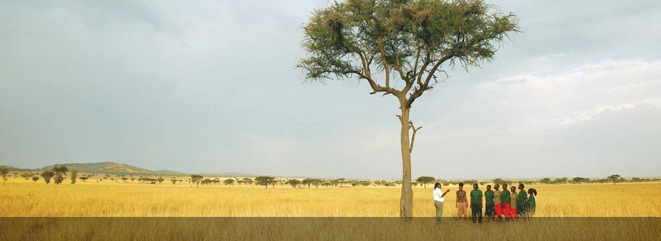 The environment at Singita Sabi Sands 