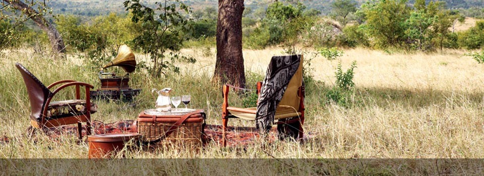 Enjoy a Picnic in the Kruger National Park 