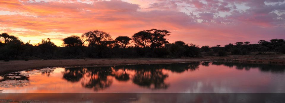A beautiful African sunset over the Kruger National park 